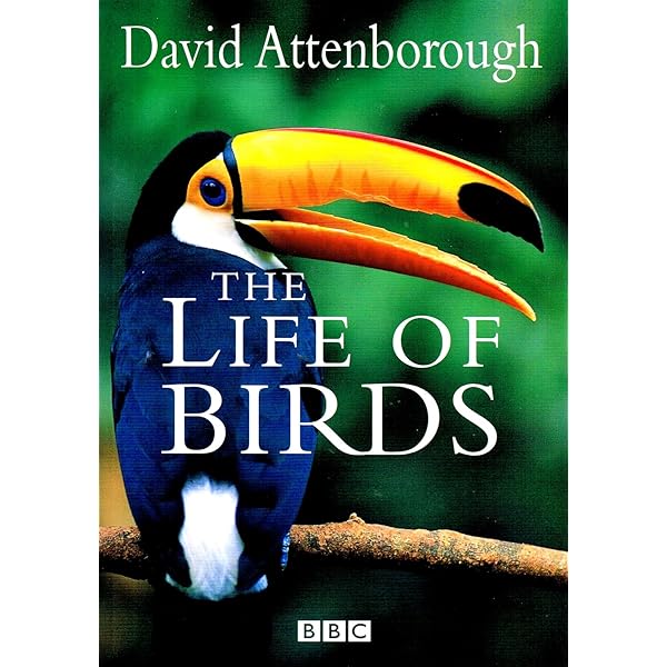 Amazon.com: The Life of Birds : David Attenborough: Movies & TV
